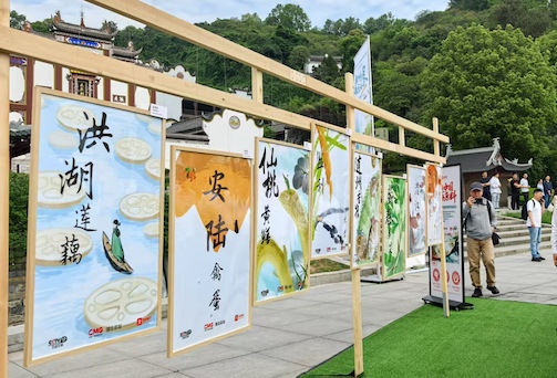 亿财配资 湖北七县市联合探索优质农产品“出圈”