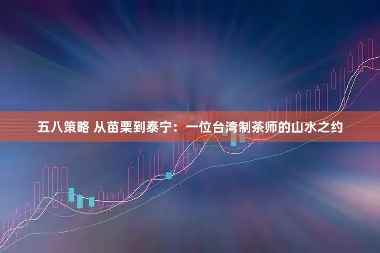 五八策略 从苗栗到泰宁：一位台湾制茶师的山水之约