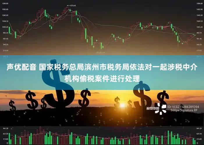 声优配音 国家税务总局滨州市税务局依法对一起涉税中介机构偷税案件进行处理