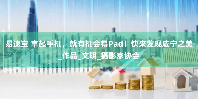 易速宝 拿起手机，就有机会得Pad！快来发现咸宁之美_作品_文明_摄影家协会