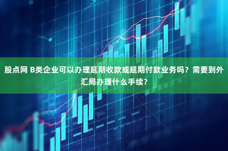 股点网 B类企业可以办理延期收款或延期付款业务吗？需要到外汇局办理什么手续？